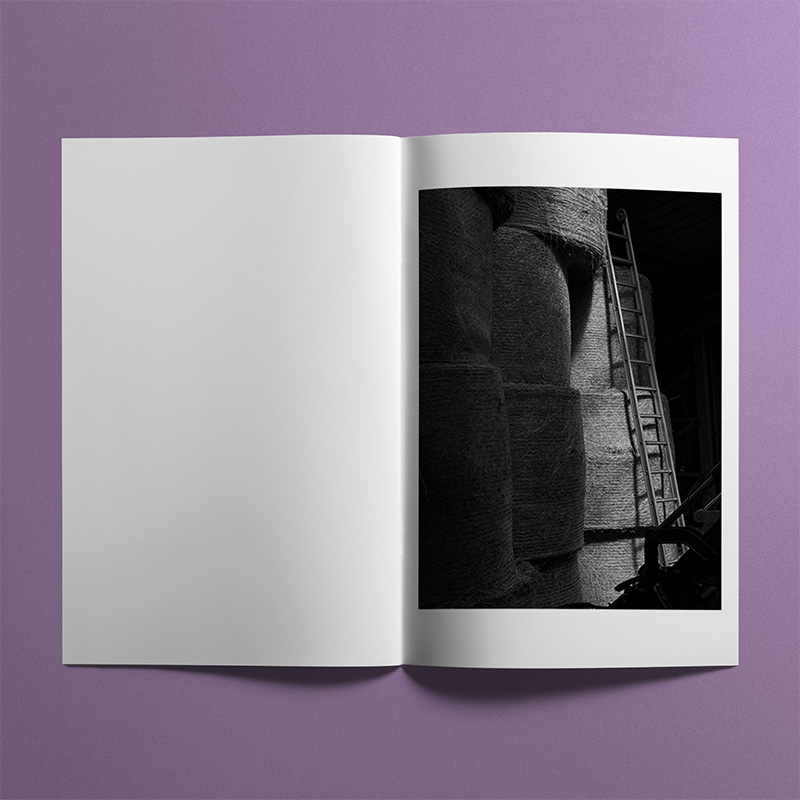 5 – (glimpses)