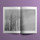 5s3.webp